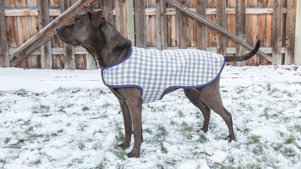 32 Designs Dog Coat Patterns For Large Dogs NellyNaveera