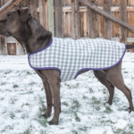 32 Designs Dog Coat Patterns For Large Dogs NellyNaveera