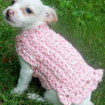 Crochet Pattern Adorable Dog Sweater For Girls