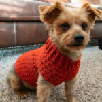 Dandy Dog Sweater Easy Crochet Dog Sweater Pattern We Are The Pet