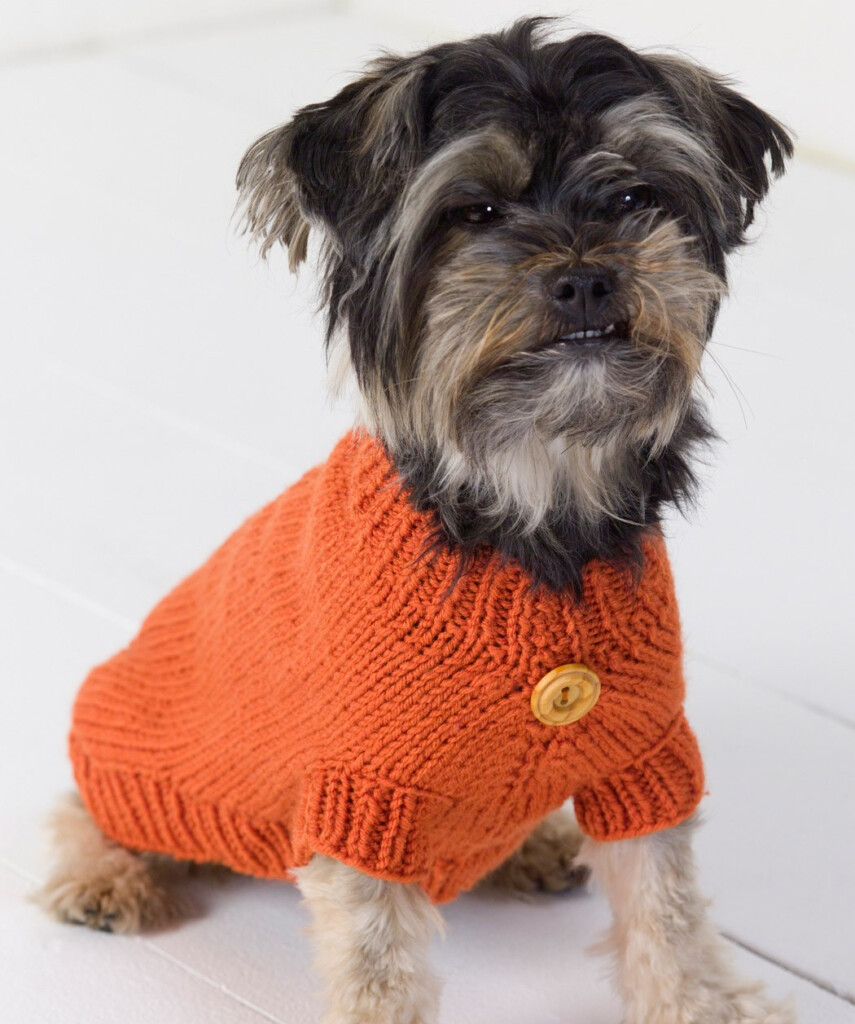 Easy Knit Dog Sweater Pattern Free Uk Over Free Pet Knitting Patterns 