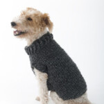 Helena Easy Knitted Dog Sweater Patterns Free Carpet Elizabethan Era