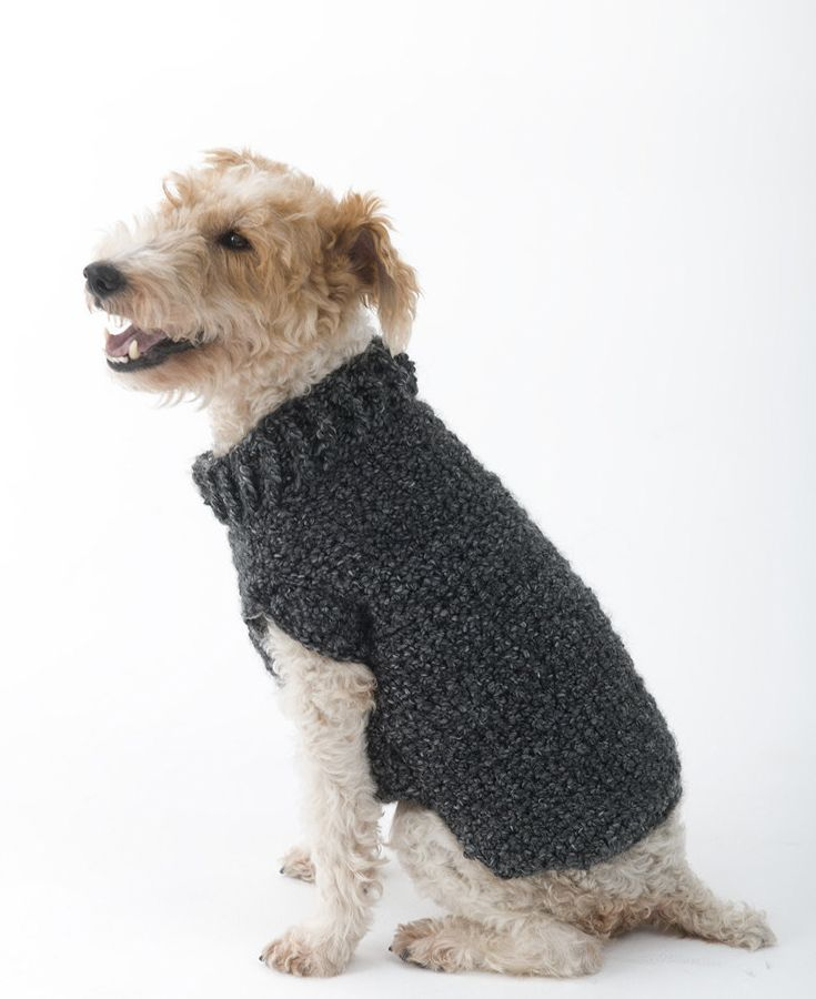 Helena Easy Knitted Dog Sweater Patterns Free Carpet Elizabethan Era 