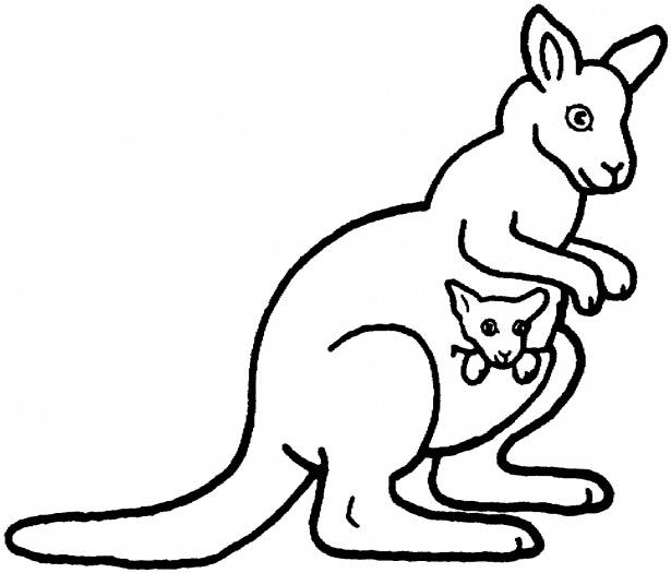 Kangaroo Outline Cliparts co