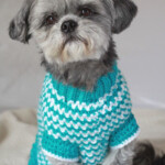 Knitting Patterns Small Dog Sweaters Mikes Naturaleza