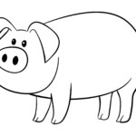 Printable Pig Template Printable Word Searches