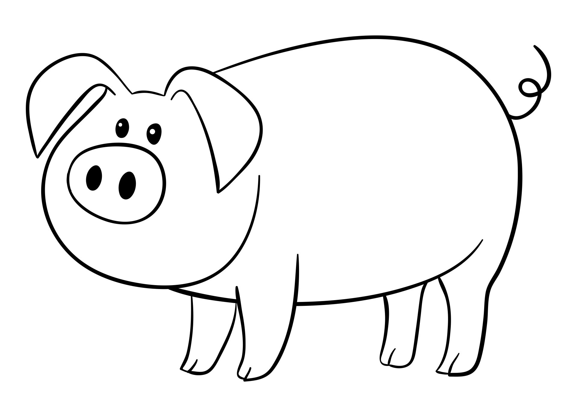 Printable Pig Template Printable Word Searches